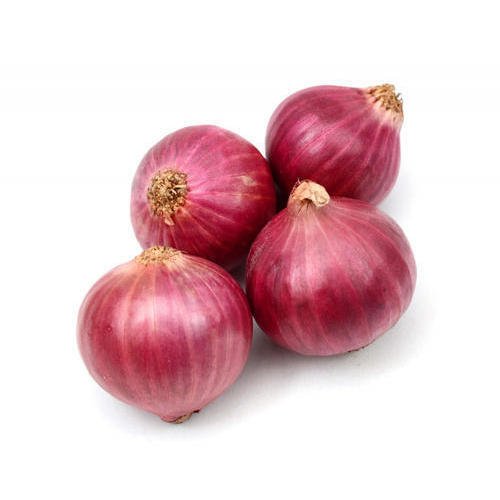 Red Onion Indian | fresh natural onion