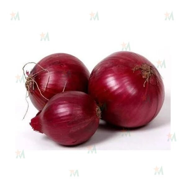 Fresh Red Onion Indian 5 KG